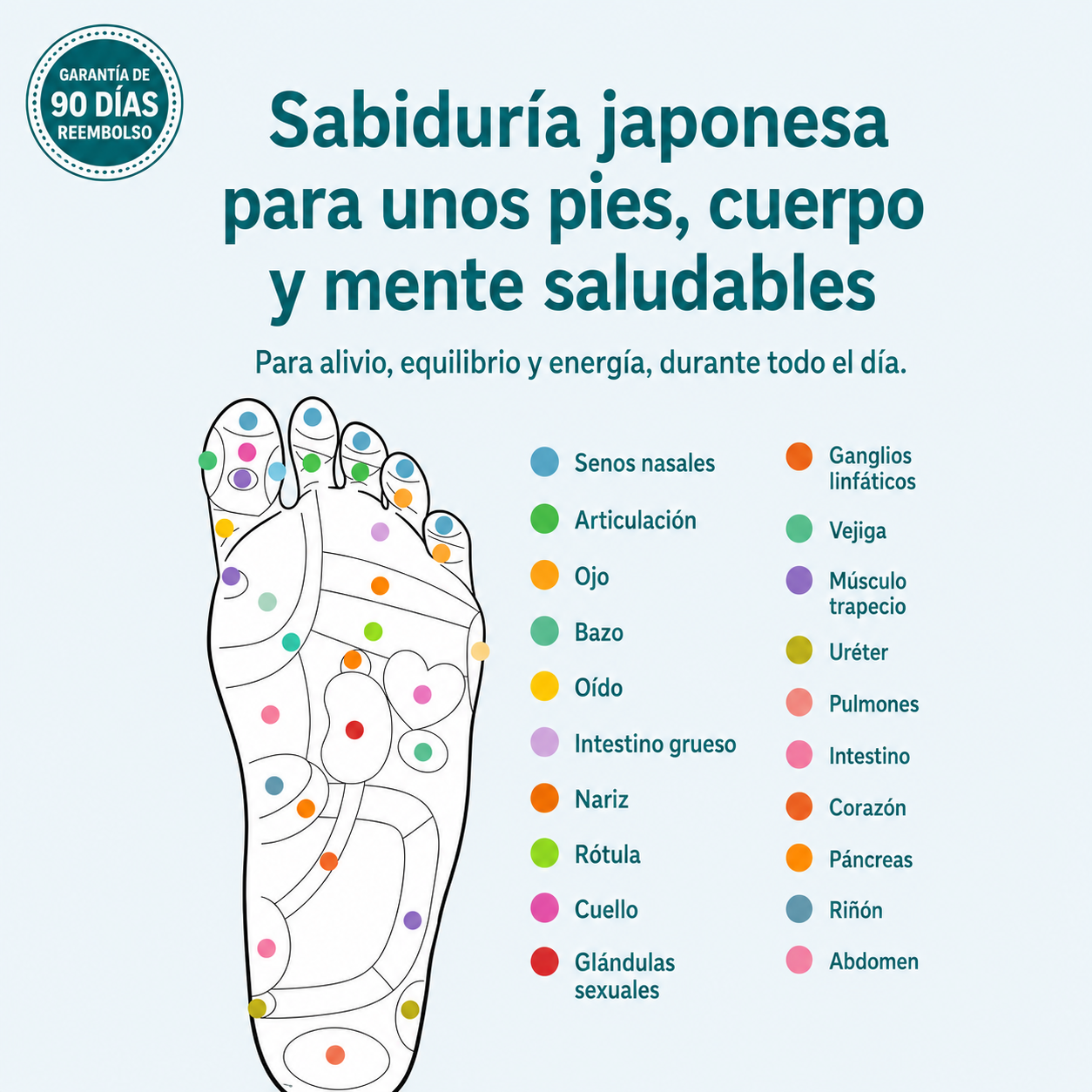 Plantillas magneticas althevie.